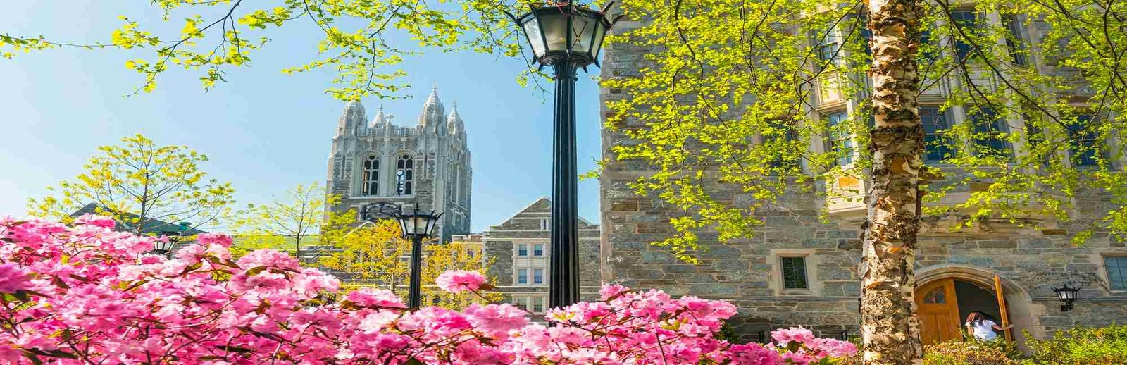 Boston College