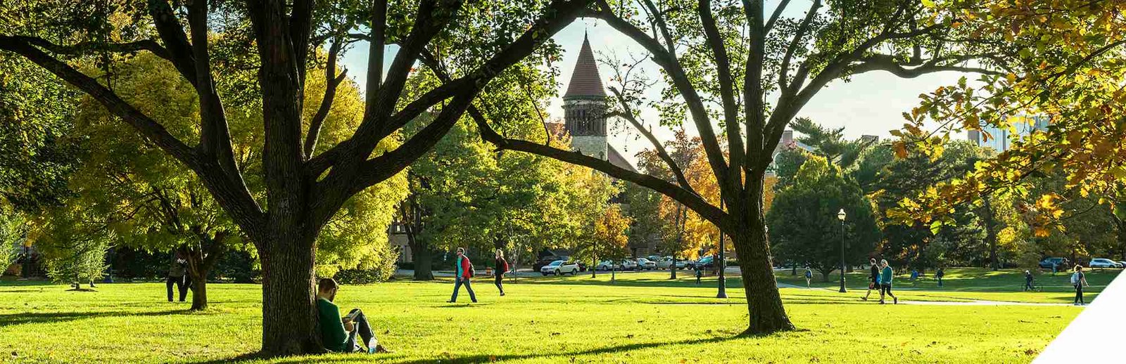 The Ohio State University