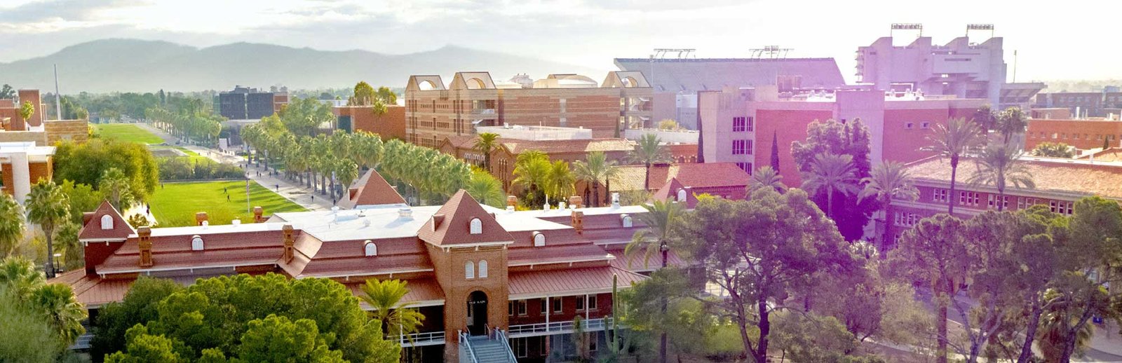 University Of Arizona