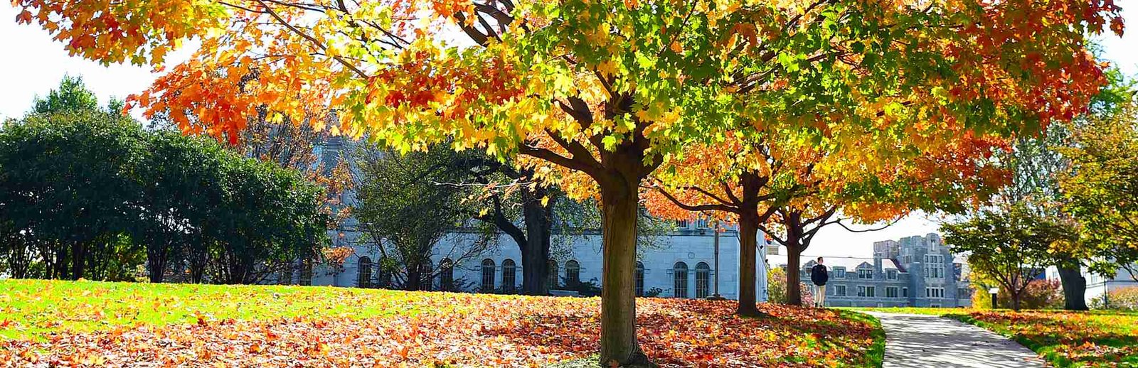 The Catholic University Of America