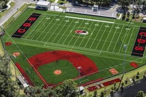 Carrollwood Day School Football: A Legacy of Excellence Best Schools in America: Top Public & Private Options Carrollwood Day School Football: A Legacy of Excellence | Best Schools in America: Top Public & Private Options