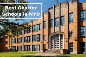 Top NYC Charter Schools: A Parent's Guide Best Schools in America: Top Public & Private Options Top NYC Charter Schools: A Parent's Guide | Best Schools in America: Top Public & Private Options