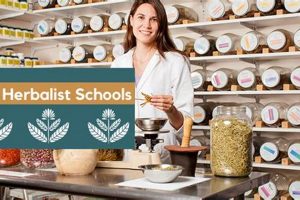 Top Herbalist Schools in the World: 2024 Guide Best Schools in America: Top Public & Private Options Top Herbalist Schools in the World: 2024 Guide | Best Schools in America: Top Public & Private Options