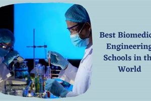 Top Bioengineering Schools: Undergraduate Programs Best Schools in America: Top Public & Private Options Top Bioengineering Schools: Undergraduate Programs | Best Schools in America: Top Public & Private Options