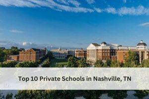 Top Nashville Private Schools: 2024 Guide Best Schools in America: Top Public & Private Options Top Nashville Private Schools: 2024 Guide | Best Schools in America: Top Public & Private Options