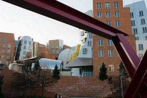 Top Pre Med Schools in Massachusetts: 2024 Guide Best Schools in America: Top Public & Private Options Top Pre Med Schools in Massachusetts: 2024 Guide | Best Schools in America: Top Public & Private Options