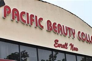 Top Esthetician Schools in Los Angeles: 2024 Guide Best Schools in America: Top Public & Private Options Top Esthetician Schools in Los Angeles: 2024 Guide | Best Schools in America: Top Public & Private Options