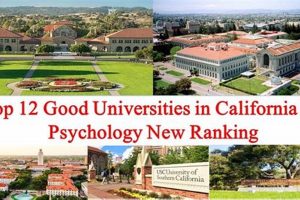 Top California Psychology Schools & Programs Best Schools in America: Top Public & Private Options Top California Psychology Schools & Programs | Best Schools in America: Top Public & Private Options