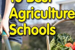 Top 10 Best Agriculture Schools: 2024 Ranking Best Schools in America: Top Public & Private Options Top 10 Best Agriculture Schools: 2024 Ranking | Best Schools in America: Top Public & Private Options