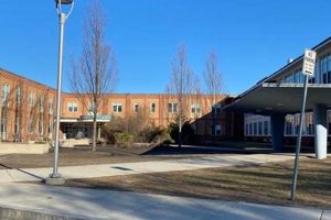 Discover Diamond Middle School: A Gem in Education Best Schools in America: Top Public & Private Options Discover Diamond Middle School: A Gem in Education | Best Schools in America: Top Public & Private Options