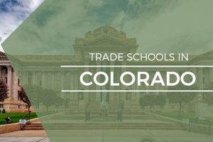 Top Trade Schools in Colorado: 2024 Guide Best Schools in America: Top Public & Private Options Top Trade Schools in Colorado: 2024 Guide | Best Schools in America: Top Public & Private Options