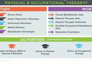 Top Occupational Therapy Schools in California 2024 Best Schools in America: Top Public & Private Options Top Occupational Therapy Schools in California 2024 | Best Schools in America: Top Public & Private Options