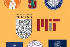 Top Best Non-Ivy League Colleges & Universities Best Schools in America: Top Public & Private Options Top Best Non-Ivy League Colleges & Universities | Best Schools in America: Top Public & Private Options