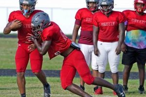 Go Seabreeze Sandcrabs! HS Football Updates Best Schools in America: Top Public & Private Options Go Seabreeze Sandcrabs! HS Football Updates | Best Schools in America: Top Public & Private Options