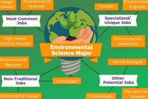 Top 10 Best Grad Schools for Environmental Science Programs Best Schools in America: Top Public & Private Options Top 10 Best Grad Schools for Environmental Science Programs | Best Schools in America: Top Public & Private Options