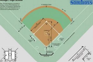 Official High School Softball Field Dimensions Guide Best Schools in America: Top Public & Private Options Official High School Softball Field Dimensions Guide | Best Schools in America: Top Public & Private Options