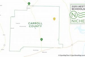 Top Carroll County Schools TN: District Guide Best Schools in America: Top Public & Private Options Top Carroll County Schools TN: District Guide | Best Schools in America: Top Public & Private Options