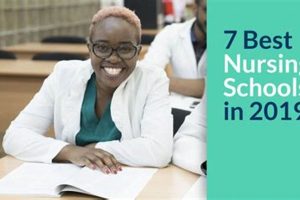 Top Global Nursing Schools: 2024 Rankings Best Schools in America: Top Public & Private Options Top Global Nursing Schools: 2024 Rankings | Best Schools in America: Top Public & Private Options