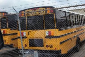 Safe & Reliable EACS Student Transportation Best Schools in America: Top Public & Private Options Safe & Reliable EACS Student Transportation | Best Schools in America: Top Public & Private Options