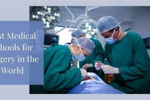 Top Med Schools for Surgery: 2024 Guide Best Schools in America: Top Public & Private Options Top Med Schools for Surgery: 2024 Guide | Best Schools in America: Top Public & Private Options