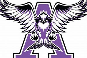 Go Anacortes Seahawks Football! School Pride Best Schools in America: Top Public & Private Options Go Anacortes Seahawks Football! School Pride | Best Schools in America: Top Public & Private Options