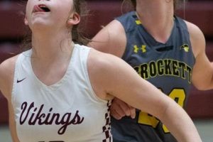 Go Pioneers! David Crockett High School Girls Basketball Team Best Schools in America: Top Public & Private Options Go Pioneers! David Crockett High School Girls Basketball Team | Best Schools in America: Top Public & Private Options