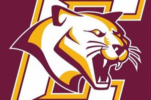 Conestoga High School Football: A Legacy of Excellence Best Schools in America: Top Public & Private Options Conestoga High School Football: A Legacy of Excellence | Best Schools in America: Top Public & Private Options