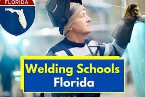 Top 5 Welding Schools in Florida: 2024 Guide Best Schools in America: Top Public & Private Options Top 5 Welding Schools in Florida: 2024 Guide | Best Schools in America: Top Public & Private Options