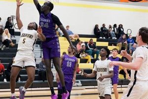 Top Savannah High School Basketball Teams Best Schools in America: Top Public & Private Options Top Savannah High School Basketball Teams | Best Schools in America: Top Public & Private Options