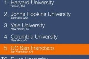 Top 10 Best Schools for Psychiatry Degrees 2024 | Best Schools in America: Top Public & Private Options