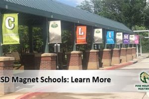 Top Cobb County Magnet Schools: A Guide | Best Schools in America: Top Public & Private Options