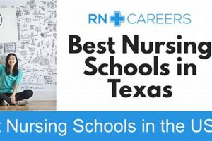 Top Texas BSN Programs: 2024 Guide Best Schools in America: Top Public & Private Options Top Texas BSN Programs: 2024 Guide | Best Schools in America: Top Public & Private Options