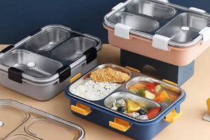 Top Stainless Steel Lunch Boxes for School Kids 2024 Best Schools in America: Top Public & Private Options Top Stainless Steel Lunch Boxes for School Kids 2024 | Best Schools in America: Top Public & Private Options