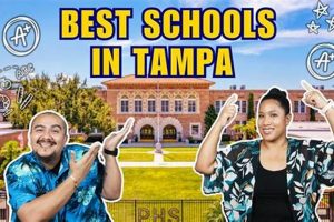 Top-Rated Best Schools in Tampa Bay 2024 Best Schools in America: Top Public & Private Options Top-Rated Best Schools in Tampa Bay 2024 | Best Schools in America: Top Public & Private Options