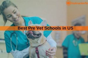 Top 10 Best Pre Vet Schools: Ultimate Guide Best Schools in America: Top Public & Private Options Top 10 Best Pre Vet Schools: Ultimate Guide | Best Schools in America: Top Public & Private Options