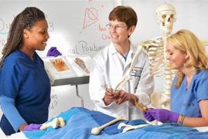 Top SUNY Schools for Pre-Med: 2024 Guide Best Schools in America: Top Public & Private Options Top SUNY Schools for Pre-Med: 2024 Guide | Best Schools in America: Top Public & Private Options