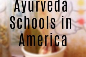 Top Best Ayurveda Schools in the USA 2024 Best Schools in America: Top Public & Private Options Top Best Ayurveda Schools in the USA 2024 | Best Schools in America: Top Public & Private Options