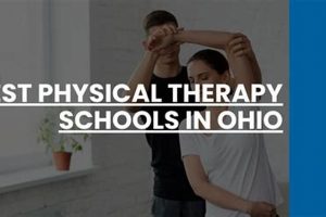 Top Physical Therapy Schools in Ohio: 2024 Guide Best Schools in America: Top Public & Private Options Top Physical Therapy Schools in Ohio: 2024 Guide | Best Schools in America: Top Public & Private Options