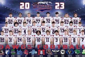 Grove City High School Football Best Schools in America: Top Public & Private Options Grove City High School Football | Best Schools in America: Top Public & Private Options