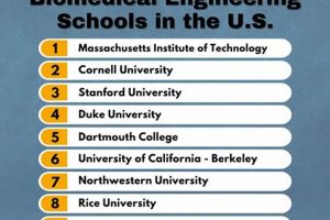 Top 10 Best BME Schools: 2024 Rankings Best Schools in America: Top Public & Private Options Top 10 Best BME Schools: 2024 Rankings | Best Schools in America: Top Public & Private Options