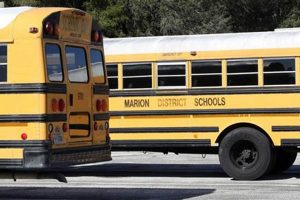 Safe Marion County Schools Transportation Guide Best Schools in America: Top Public & Private Options Safe Marion County Schools Transportation Guide | Best Schools in America: Top Public & Private Options