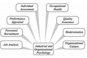 Top 10 Best Schools for Organizational Psychology Programs Best Schools in America: Top Public & Private Options Top 10 Best Schools for Organizational Psychology Programs | Best Schools in America: Top Public & Private Options