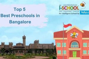 Top Best Play Schools in Bangalore: A Guide Best Schools in America: Top Public & Private Options Top Best Play Schools in Bangalore: A Guide | Best Schools in America: Top Public & Private Options