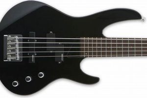 Top 5 Best Affordable 5 String Basses for Beginners Best Schools in America: Top Public & Private Options Top 5 Best Affordable 5 String Basses for Beginners | Best Schools in America: Top Public & Private Options
