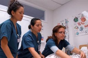 Top 10 Best Nursing Schools East Coast for 2024 Best Schools in America: Top Public & Private Options Top 10 Best Nursing Schools East Coast for 2024 | Best Schools in America: Top Public & Private Options