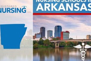 Top Nursing Schools in Arkansas: 2024 Guide Best Schools in America: Top Public & Private Options Top Nursing Schools in Arkansas: 2024 Guide | Best Schools in America: Top Public & Private Options