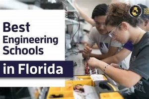 Top Engineering Schools in Florida 2024 Best Schools in America: Top Public & Private Options Top Engineering Schools in Florida 2024 | Best Schools in America: Top Public & Private Options