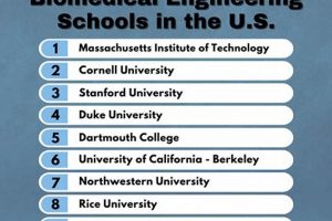 Top Engineering Schools Near You: Find the Best Best Schools in America: Top Public & Private Options Top Engineering Schools Near You: Find the Best | Best Schools in America: Top Public & Private Options