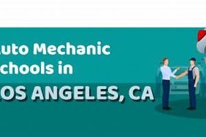 Top Automotive Schools in California: 2024 Guide Best Schools in America: Top Public & Private Options Top Automotive Schools in California: 2024 Guide | Best Schools in America: Top Public & Private Options