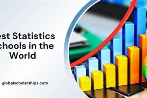 Top 10 Best Statistics Schools: 2024 Rankings Best Schools in America: Top Public & Private Options Top 10 Best Statistics Schools: 2024 Rankings | Best Schools in America: Top Public & Private Options